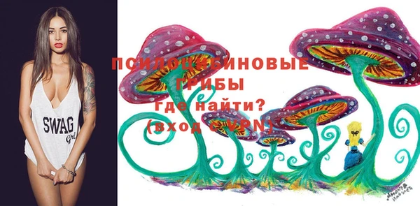 амфетамин Алексин