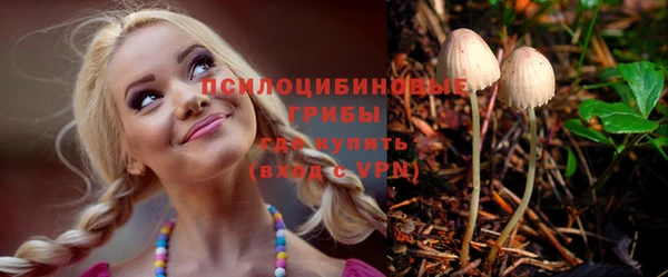круглые Алзамай
