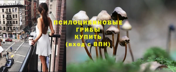 круглые Алзамай