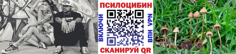 Псилоцибиновые грибы MAGIC MUSHROOMS  Бахчисарай 
